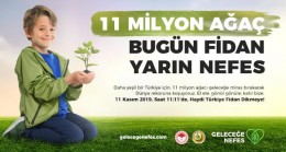 11 Kasım’da 11 milyon fidan toprakla buluşacak