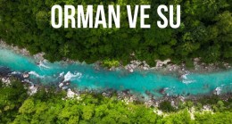 Hayat çizgimiz: Orman ve Su