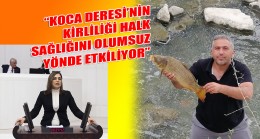 BALIK ÖLÜMLERİNİ MECLİS GÜNDEMİNE TAŞIDI