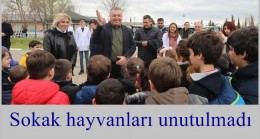 Sokak hayvanları unutulmadı