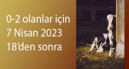 Kırklareli çiftçisine 18 milyon TL buzağı ödemesi