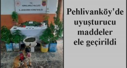 Pehlivanköy’de uyuşturucu maddeler ele geçirildi