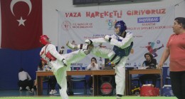 Babaeski’de 30 Ağustos Zafer Kupası Taekwondo Turnuvası düzenlendi