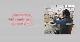 Kurutulmuş trüf mantarından numune alındı