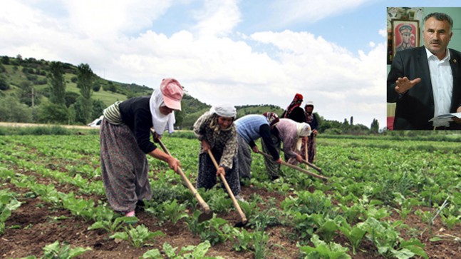 DÜNYA KADIN ÇİFTÇİLER GÜNÜ