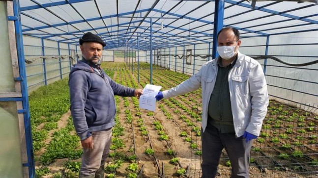 Örtüaltı işletmelerinde gerekli tedbirler alındı