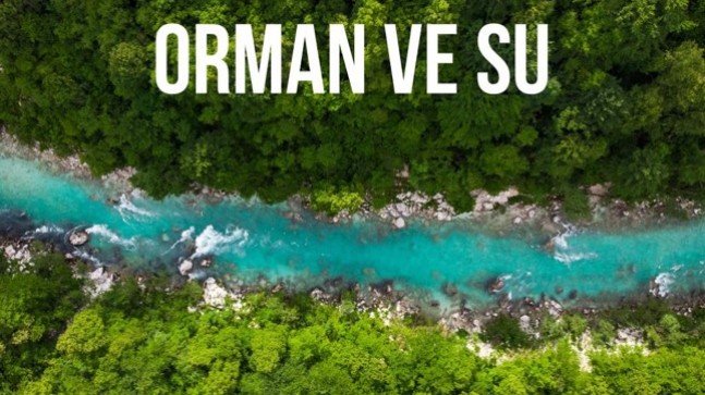 Hayat çizgimiz: Orman ve Su