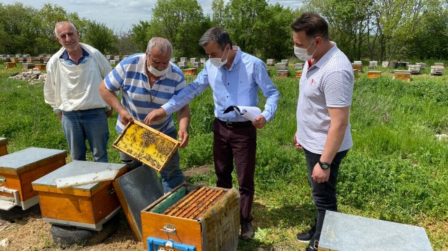 Meşe Balı Üreten Arıcıların Saha Kontrolleri Devam Ediyor