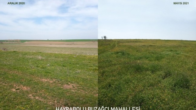 Hayvancılığa Desteğimizin En Güzel Örneklerinden Biri Mera İyileştirme Ve Yönetimi Projesi