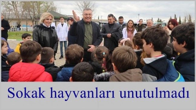 Sokak hayvanları unutulmadı