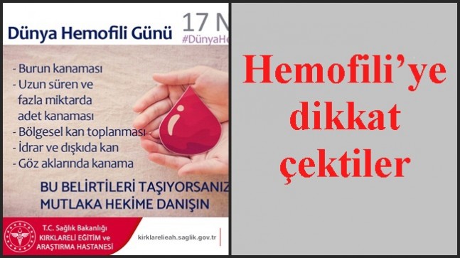 Hemofili’ye dikkat çektiler