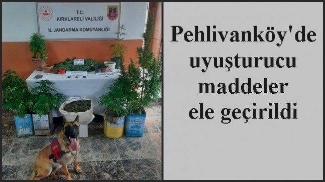 Pehlivanköy’de uyuşturucu maddeler ele geçirildi