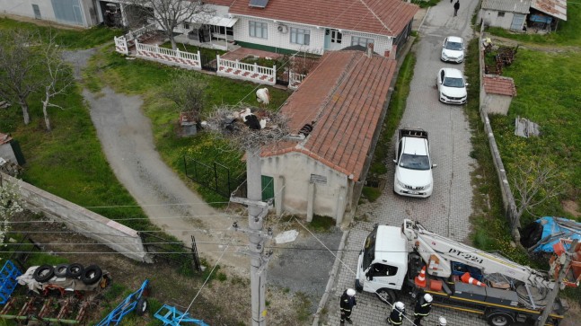 Leylekler göç yolunda TREDAŞ ile güvende