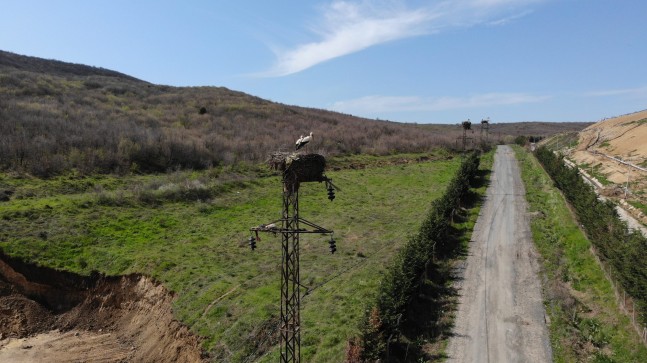 TREDAŞ, enerjisi ile hayvanlara koruma kalkanı oluyor