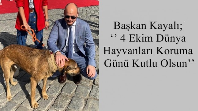 Başkan Kayalı; ‘’4 Ekim Dünya Hayvanları Koruma Günü Kutlu Olsun’’