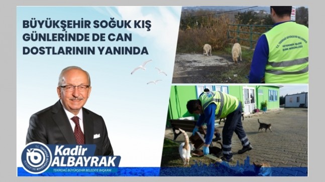 BÜYÜKŞEHİR SOĞUK KIŞ GÜNLERİNDE DE CAN DOSTLARININ YANINDA