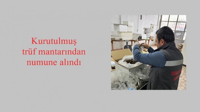 Kurutulmuş trüf mantarından numune alındı