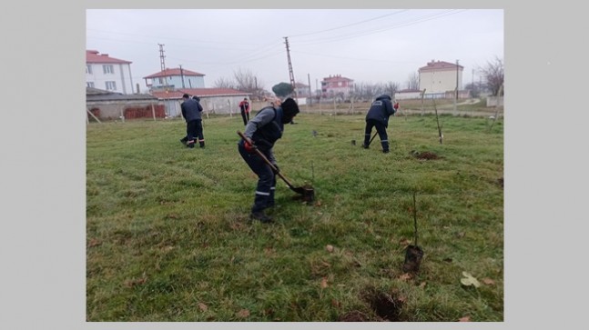 Gelecek için fidan diktiler