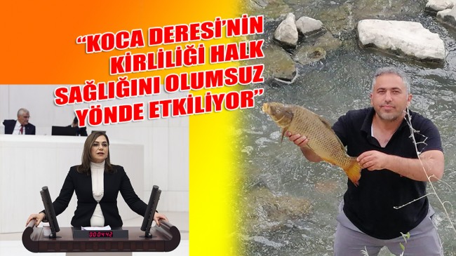 BALIK ÖLÜMLERİNİ MECLİS GÜNDEMİNE TAŞIDI