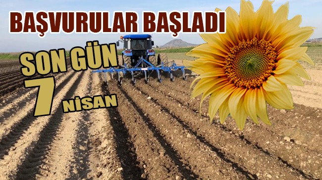 Kırklareli çiftçisine ayçiçeği projesi