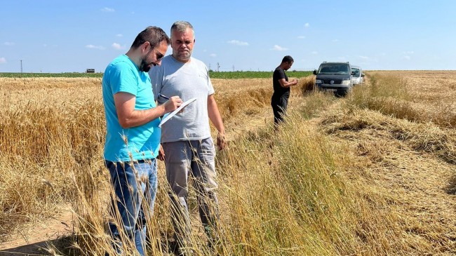 Hasat kontrol çalışmaları devam ediyor