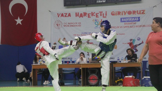 Babaeski’de 30 Ağustos Zafer Kupası Taekwondo Turnuvası düzenlendi