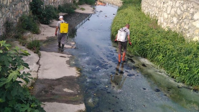 Larvasit çalışmaları gerçekleştirildi.