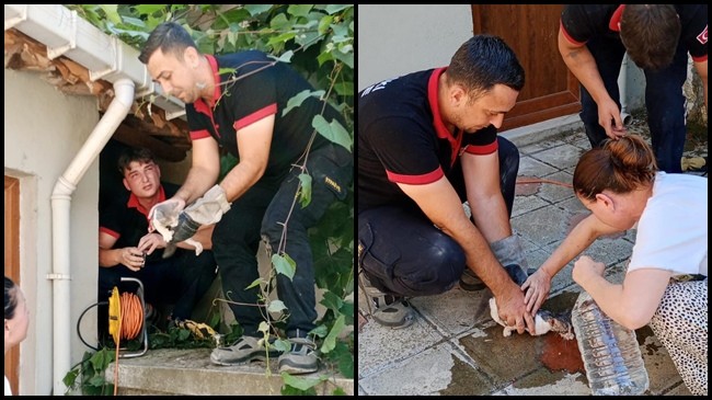 Babaeski İtfaiyesi kediyi sıkıştığı yerden kurtardı