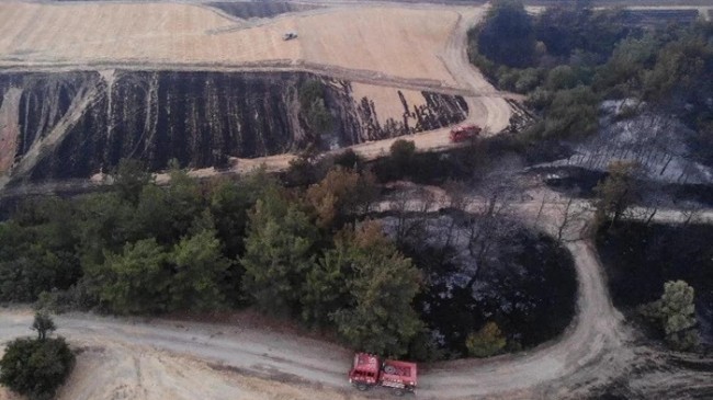 ‘’Orman yangınlarında, flora ve fauna çok sayıda makro-mikro canlı zarar görüyor’’