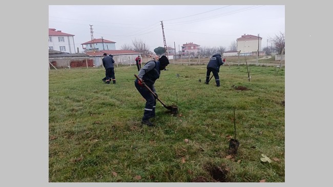 Gelecek için fidan diktiler